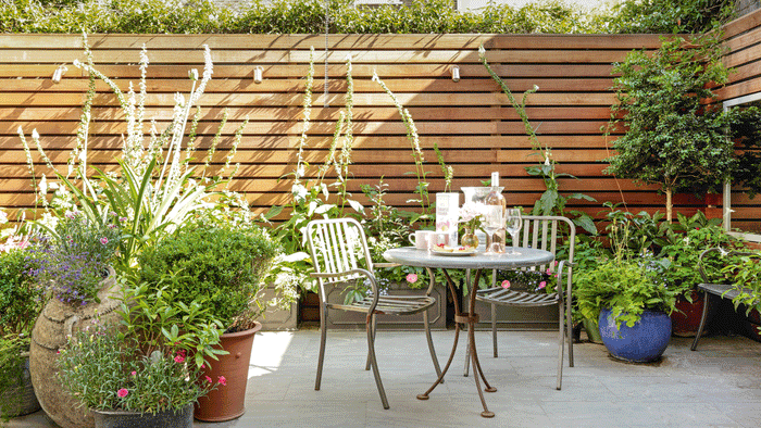 english garden breakfast scene with potted plants