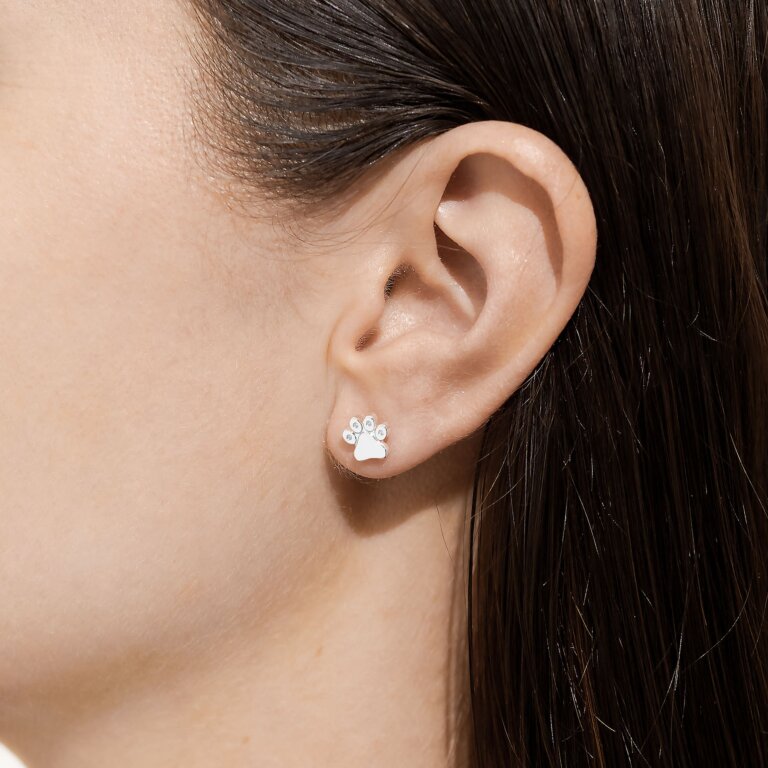 Joma Jewellery 'Love Has Four Paws' Beautifully Boxed A Little Earrings in Silver Plating