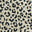 Jasmine Leopard