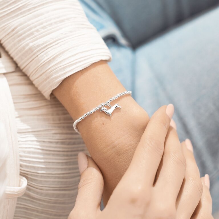 Joma JewelleryA Little 'Silly Sausage' BraceletJewellery - Blue Water Clothing