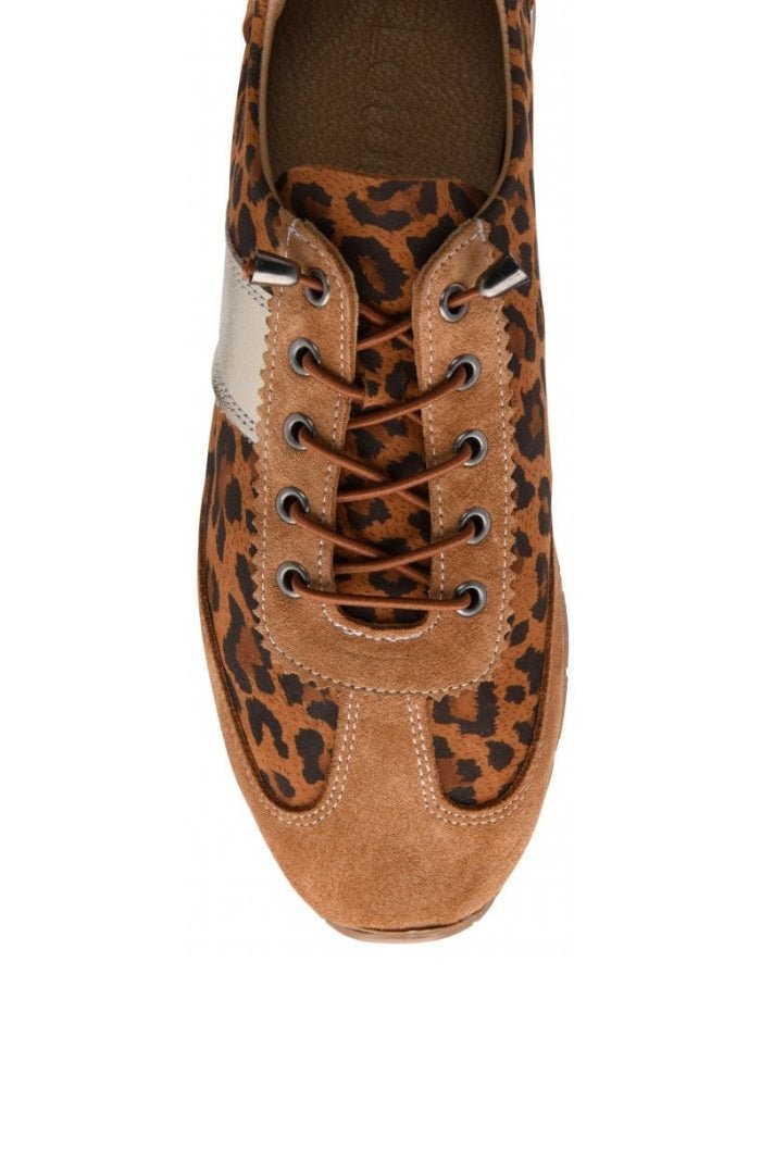 Lotus ShoesLotus Shoes Lola Leopard Print TrianersFootwearLeopard - Blue Water Clothing