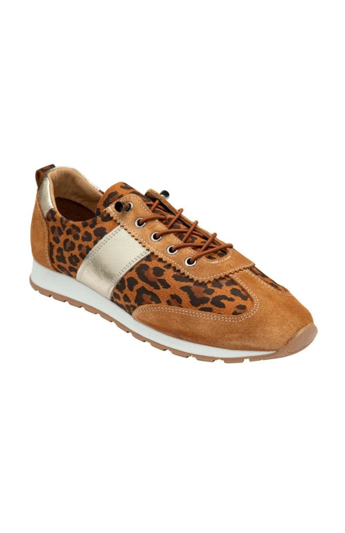 Lotus ShoesLotus Shoes Lola Leopard Print TrianersFootwearLeopard - Blue Water Clothing