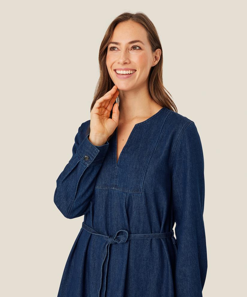 Nisha Denim Dress