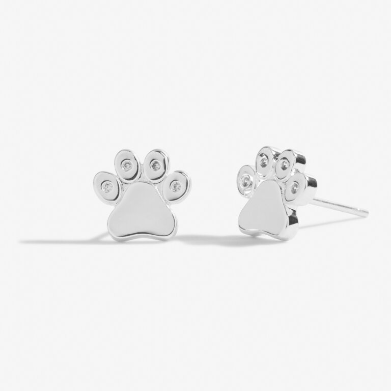 'Love Has Four Paws' Beautifully Boxed A Little Earrings in Silver Plating