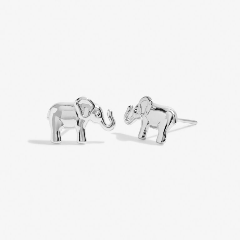 'Lucky Elephant' Beautifully Boxed Earrings Earring Box