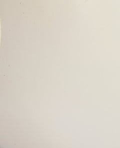 BarbourBarbour Halton Chelsea WellyFootwearLight Oak/Bleached Olive - Blue Water Clothing