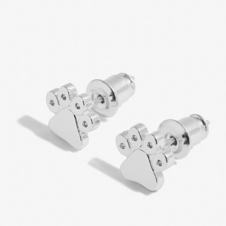 Joma Jewellery 'Love Has Four Paws' Beautifully Boxed A Little Earrings in Silver Plating - Blue Water Clothing