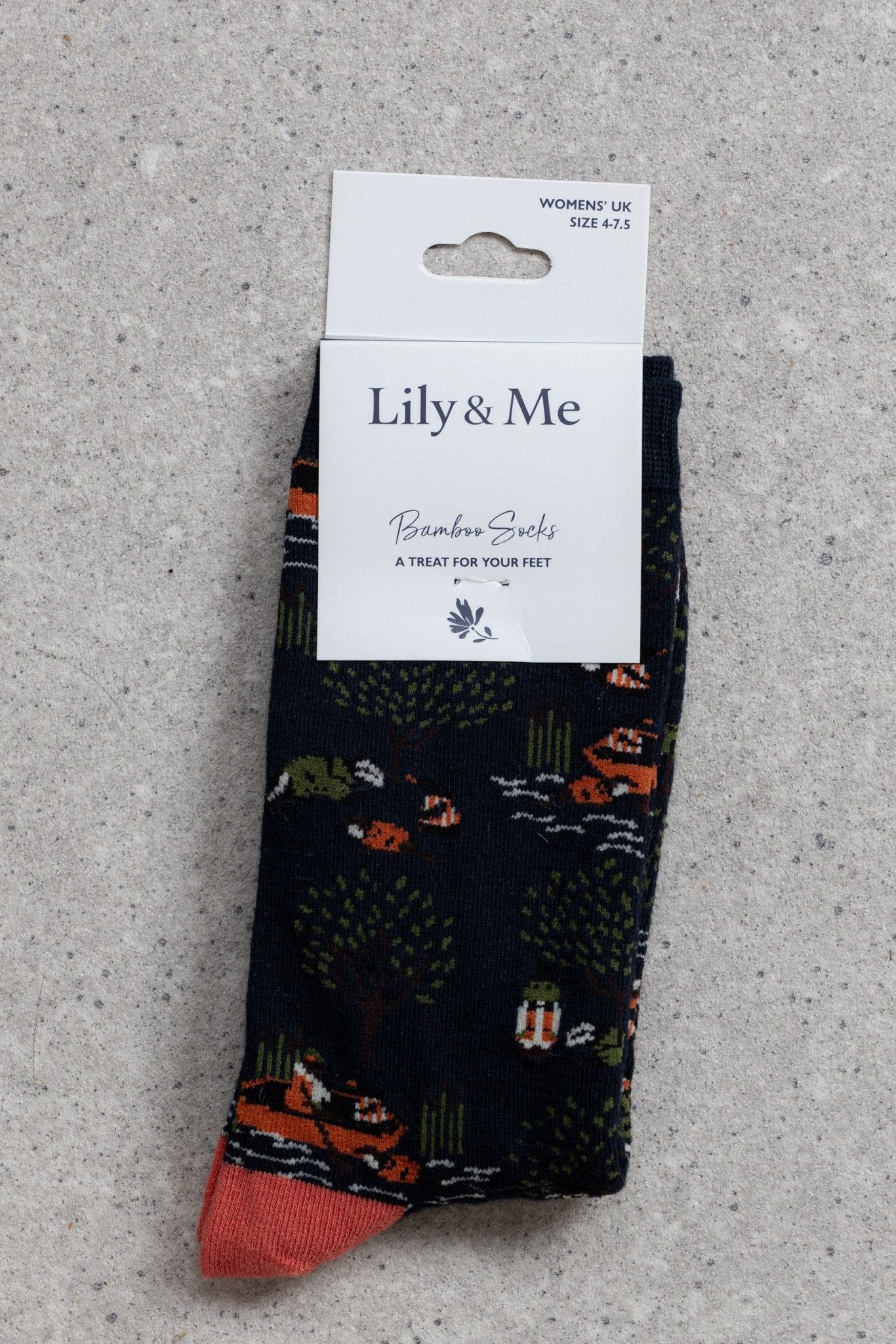 Lily & MeLily And Me Storybook Socks Gift BoxAccessoriesAssorted - Blue Water Clothing